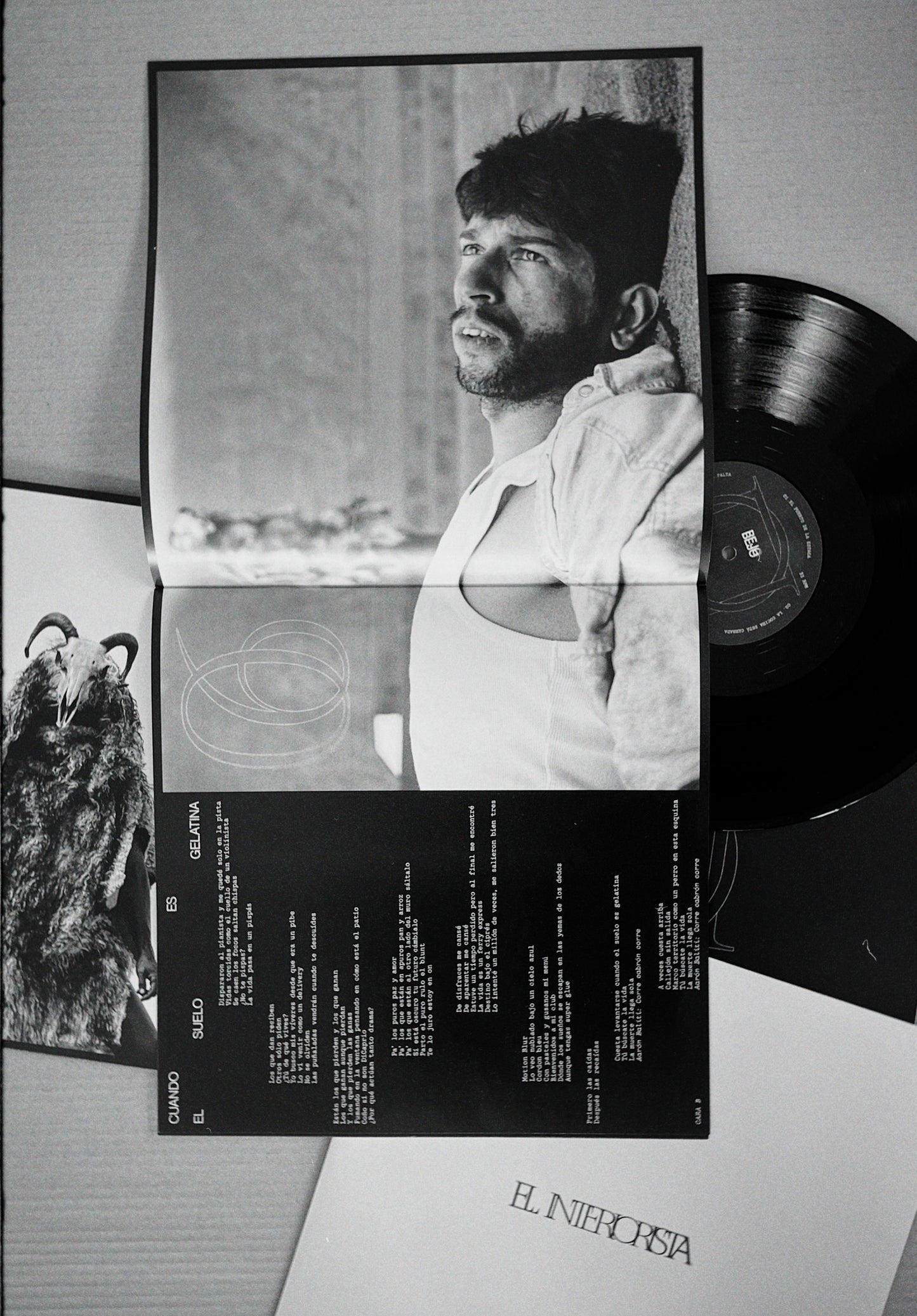 VINILO EL INTERIORISTA