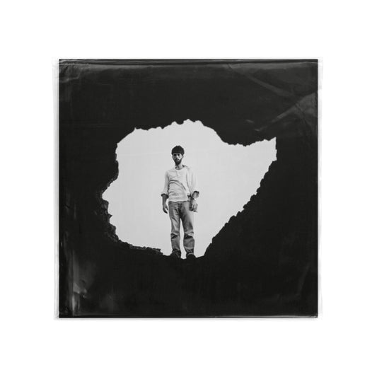 VINILO EL INTERIORISTA