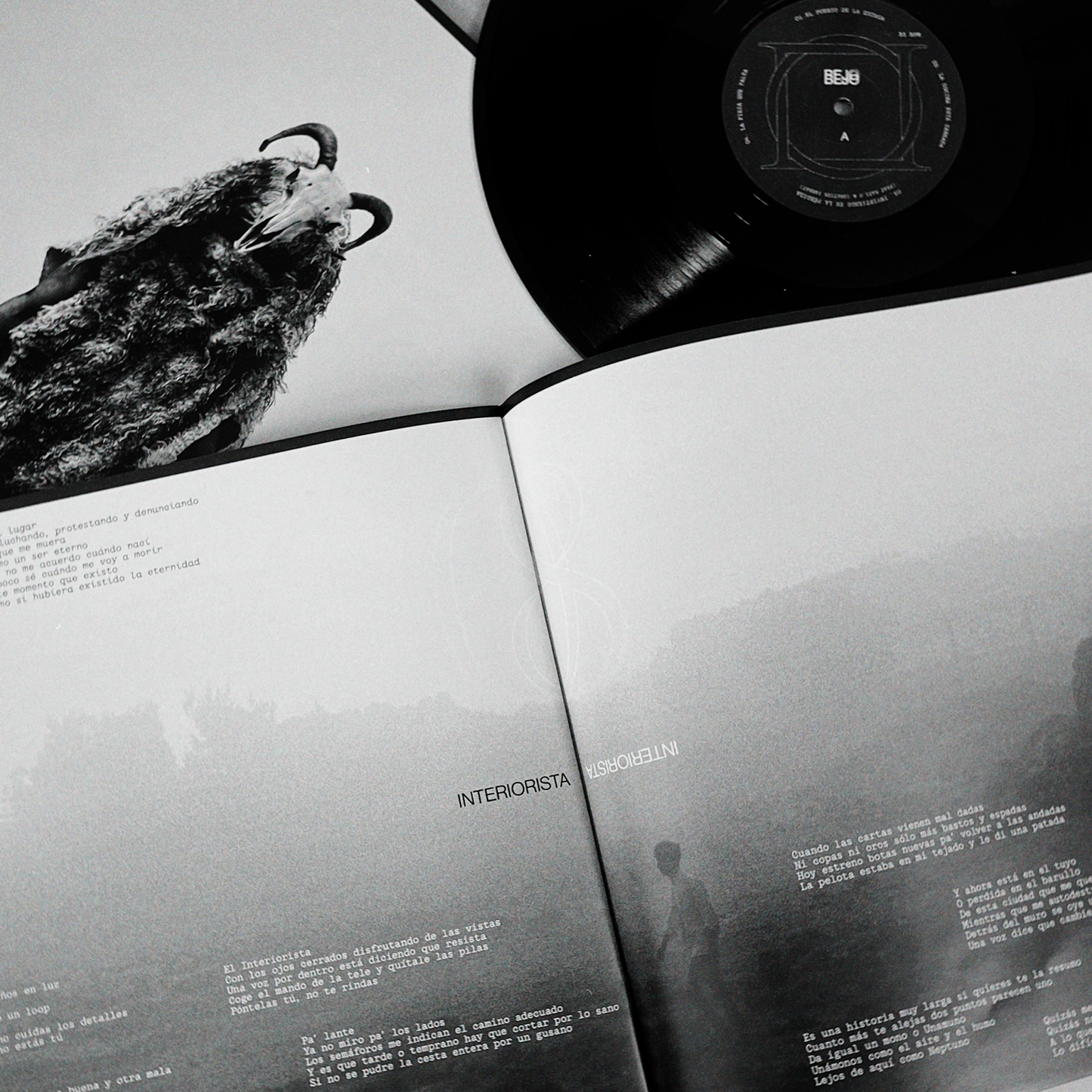 VINILO EL INTERIORISTA