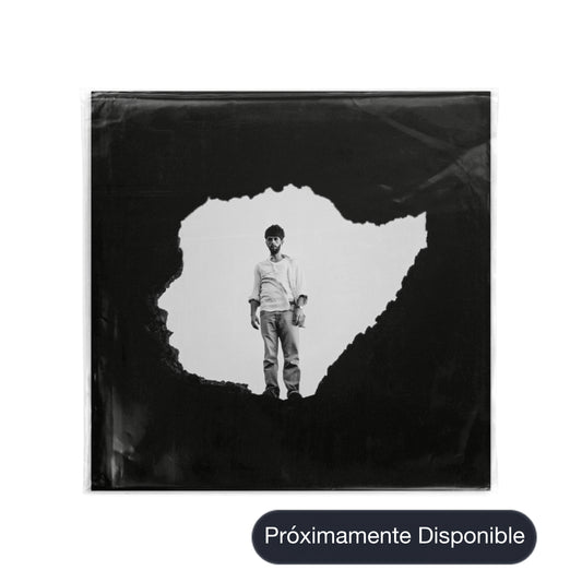 VINILO EL INTERIORISTA